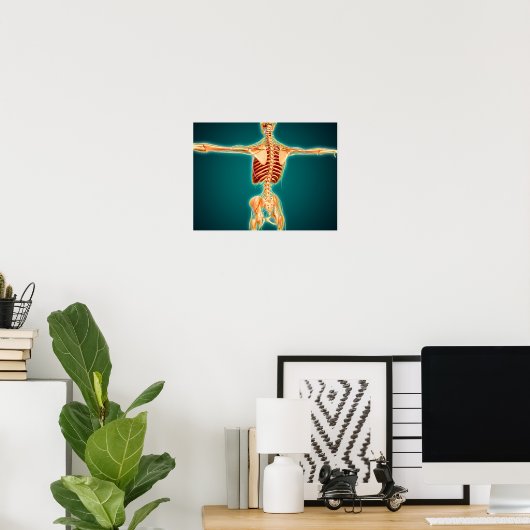 Poster Back View Of Human Skeleton With Nervous System (Bureau à domicile)