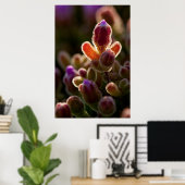 Poster Backlit Colorful Succulent Flower Bud With Rim (Bureau à domicile)