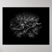 Poster Backyard Flowers In Black And White 67 (Devant)