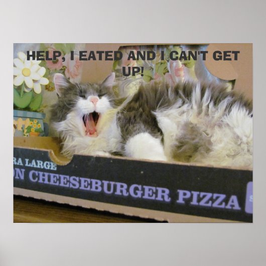 Poster Bacon Cheeseburger Pizza Overdose Kitty (Devant)
