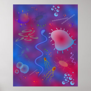 Poster Bactérie
