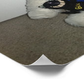 Poster Bad Dream Chat, Archer Et Polory (Coin)