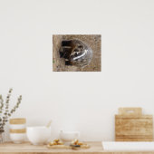 Poster Badger Approach (Keuken)