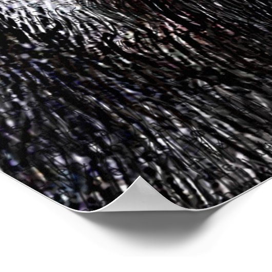 Poster Badger King (Coin)