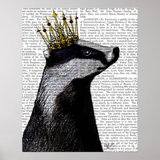 Poster Badger King (Devant)