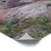 Poster Badlands (Coin)