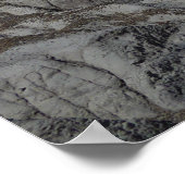 Poster Badlands de la forêt pétrifiée (Coin)