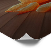 Poster bag/chips (Hoek)