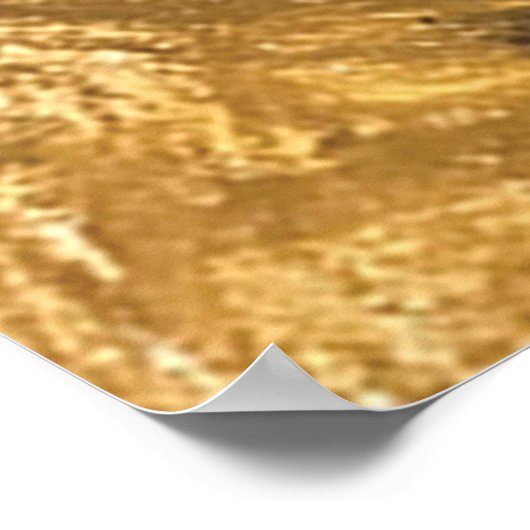 Poster Bagpiper (Coin)