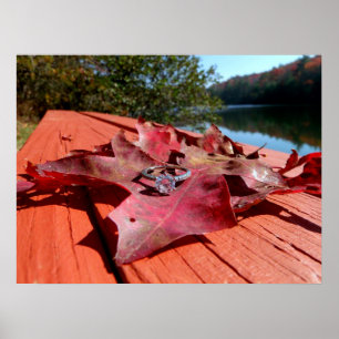 Poster Bague fiançailles sur une feuille d'automne