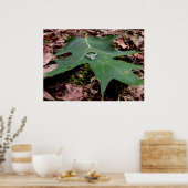 Poster Bague fiançailles sur une feuille de chêne vert (Cuisine)