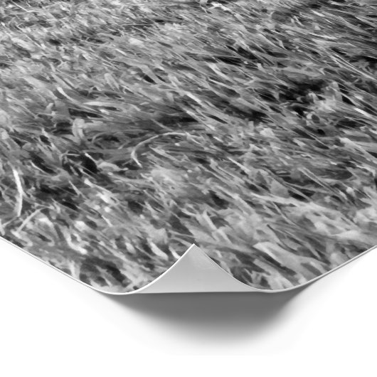 Poster Bagues de repos (Coin)