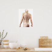 Poster Bagues du corps supérieur 2 (Cuisine)