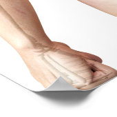 Poster Bagues du corps supérieur 2 (Coin)