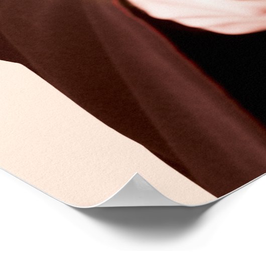 Poster Baguette de points Harry Potter (Coin)