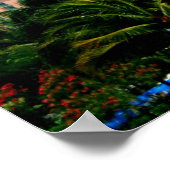 Poster Bahamas (Coin)