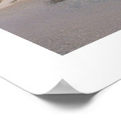 Poster Bahamas (Coin)