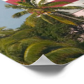 Poster BAHAMAS, Abacos, Loyalist Cays, Elbow Cay, Espoir (Coin)