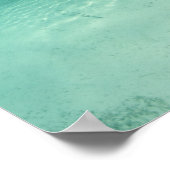 Poster Bahamas, île de Grand Bahama, Freeport, captif 6 (Coin)