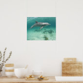 Poster Bahamas, île de Grand Bahama, Freeport, captif 6 (Cuisine)