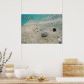 Poster Bahamas sous-marine (Cuisine)