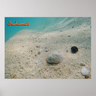 Poster Bahamas sous-marine