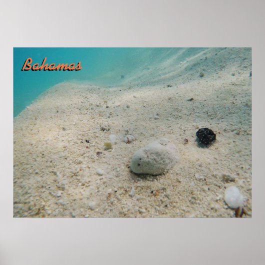 Poster Bahamas sous-marine (Devant)