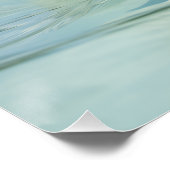 Poster Bahamas Swimming Pig 2024 (Coin)