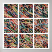 Poster Bahia (Devant)