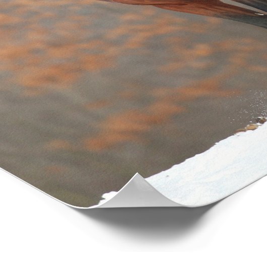 Poster Baie Andalousie Stallion debout En Neige (Coin)