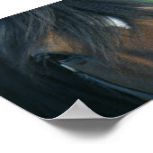 Poster Baie Closeup (Coin)