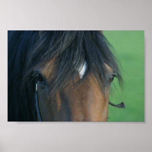 Poster Baie Closeup (Devant)