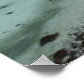 Poster Baie de Baja Conception (Coin)