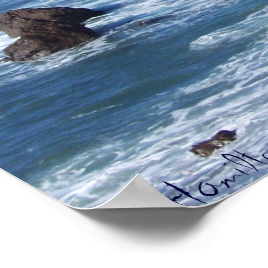 Poster Baie de Bodega (Coin)