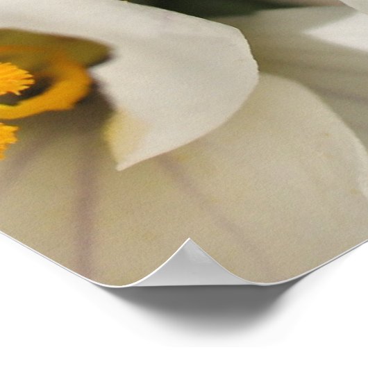 Poster Baie de Busy (Coin)