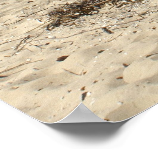 Poster Baie de Chesapeake (Coin)