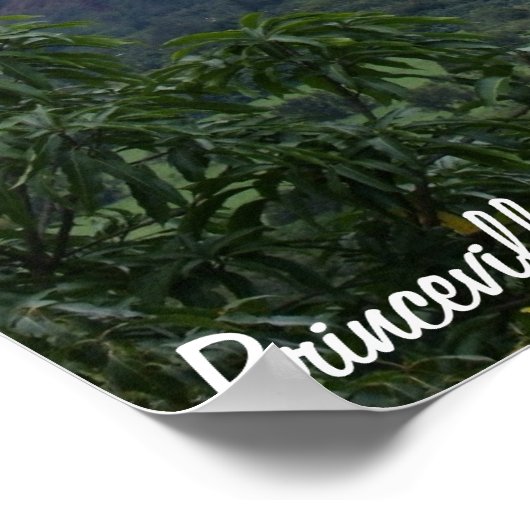 Poster Baie de Hanalei (Coin)