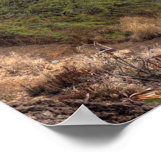 Poster Baie de Hanauma (Coin)