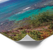Poster Baie de Hanauma Hawaii (Coin)