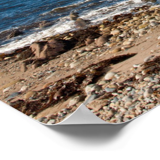 Poster Baie de Machrie (Coin)