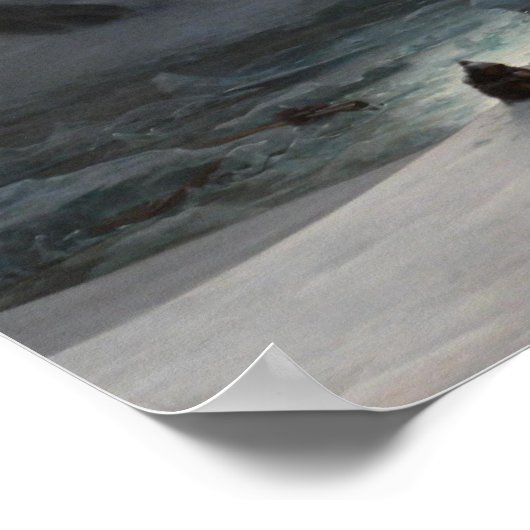 Poster Baie de Magdalena (Coin)