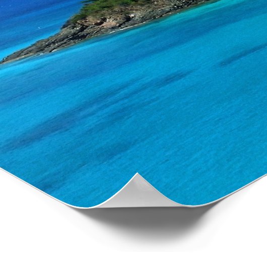 Poster Baie du tronc (Coin)