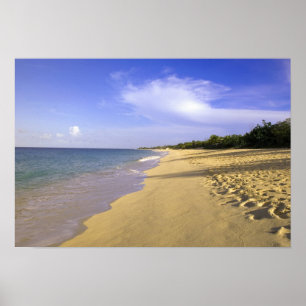 Poster Baie Longue Long Bay Beach, St Martin,