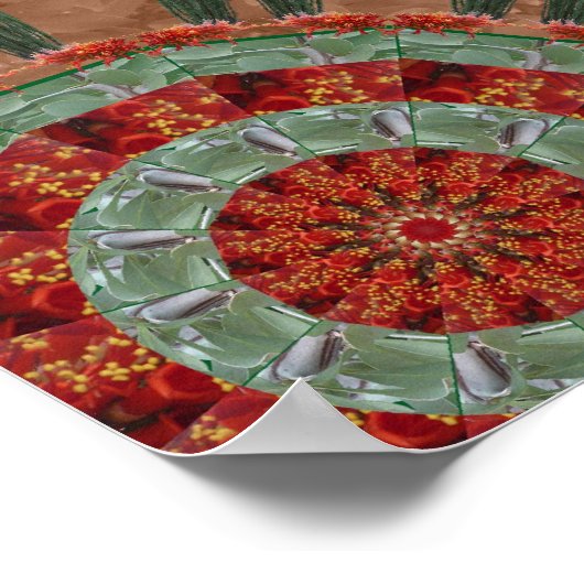 Poster Baie Ocotillo 1 (Coin)