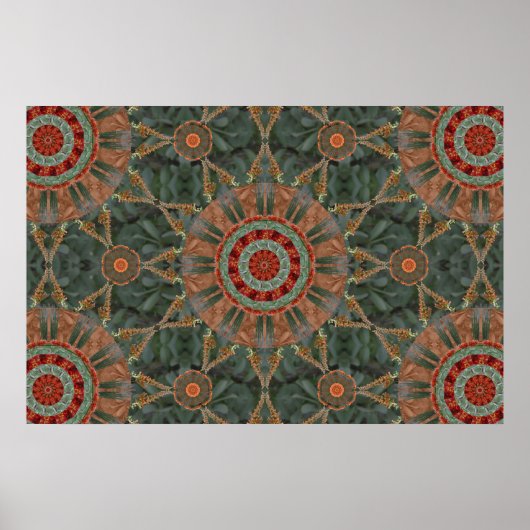 Poster Baie Ocotillo 1 (Devant)