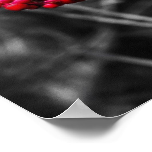 Poster Baies d'hiver Imprimer (Coin)