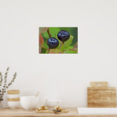 Poster Baies mûres dans le Flathead National 2 (Cuisine)