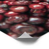 Poster Baies rouges de l'Himalaya (Coin)