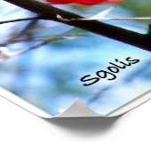 Poster Baies rouges sur l'affiche photo d'arbre (Coin)