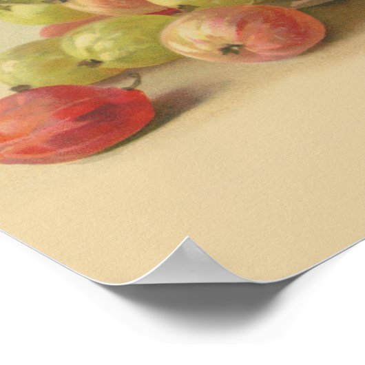 Poster Baies vintages (Coin)